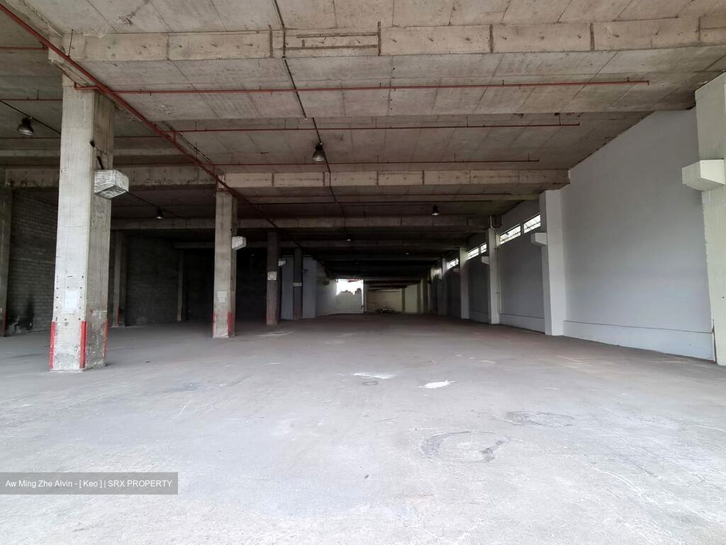 Gul Crescent (D22), Factory #565766191